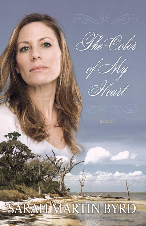 Cover of the book The Color of My Heart by Sarah Martin Byrd, Ambassador International