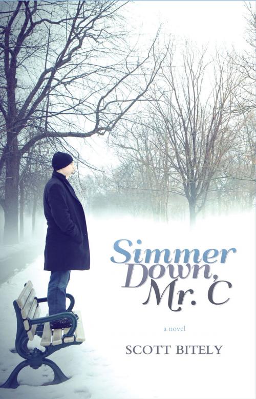 Cover of the book Simmer Down, Mr C. by Scott Bitely, Ambassador International