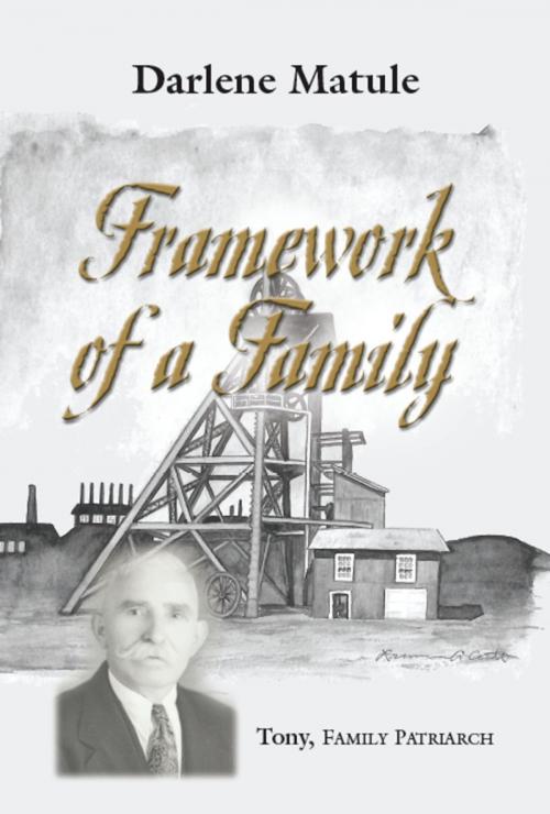 Cover of the book Framework of a Family by Darlene Matule, BookLocker.com, Inc.