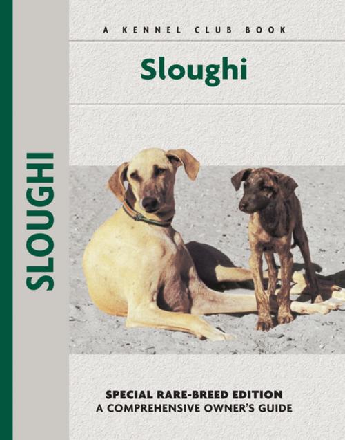 Cover of the book Sloughi by M. Crappon de Caprona, CompanionHouse Books