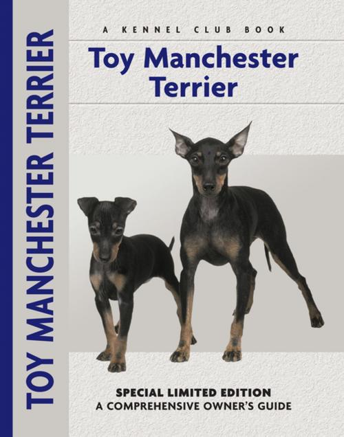 Cover of the book Toy Manchester Terrier by Peter Brown, CompanionHouse Books
