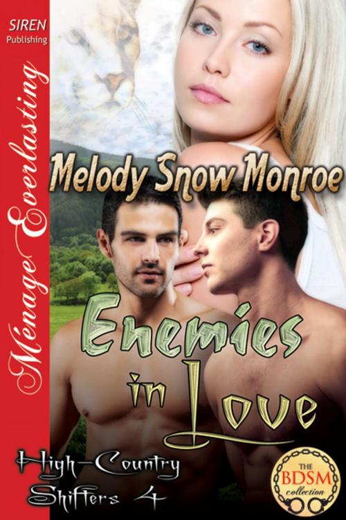 Cover of the book Enemies in Love by Melody Snow Monroe, Siren-BookStrand