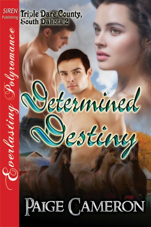 Cover of the book Determined Destiny by Paige Cameron, Siren-BookStrand