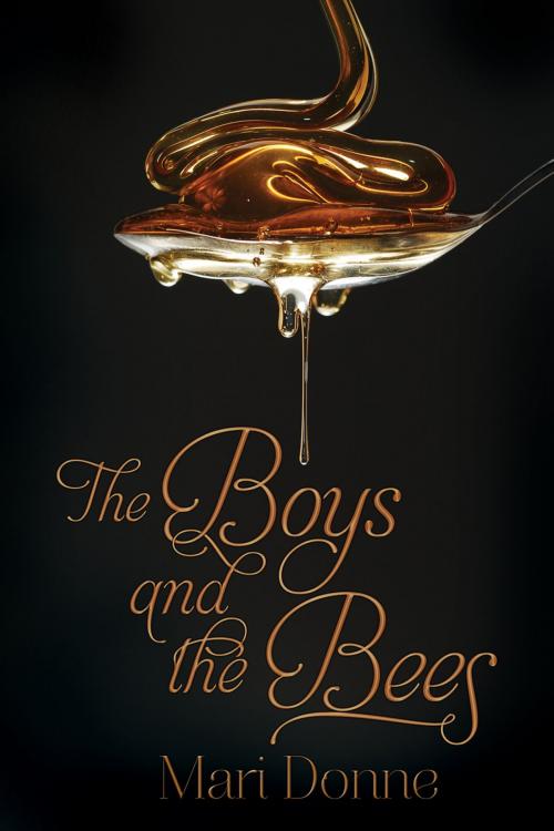 Cover of the book The Boys and the Bees by Mari Donne, Dreamspinner Press