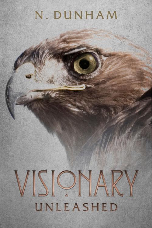 Cover of the book Visionary by N. Dunham, BookBaby