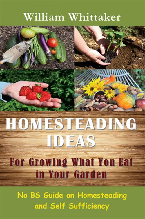Cover of the book Homesteading Ideas for Growing What You Eat In Your Garden by William Whittaker, Mojo Enterprises