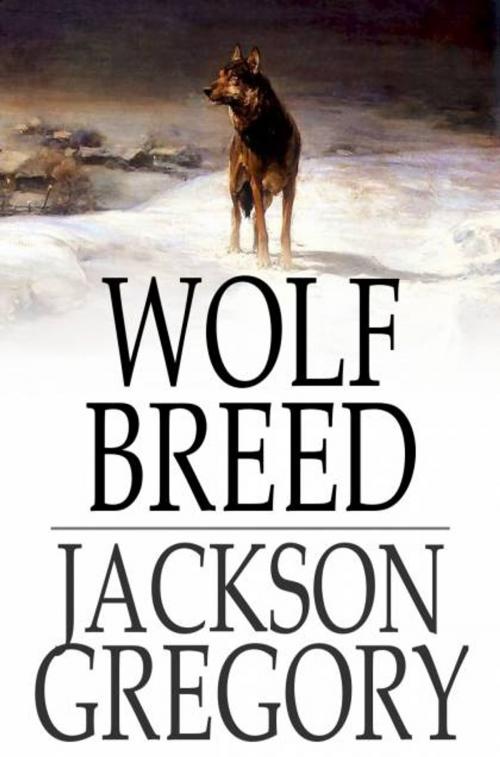 Cover of the book Wolf Breed by Jackson Gregory, The Floating Press