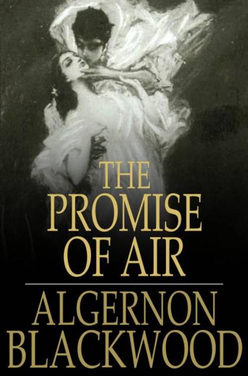 Cover of the book The Promise of Air by Algernon Blackwood, The Floating Press