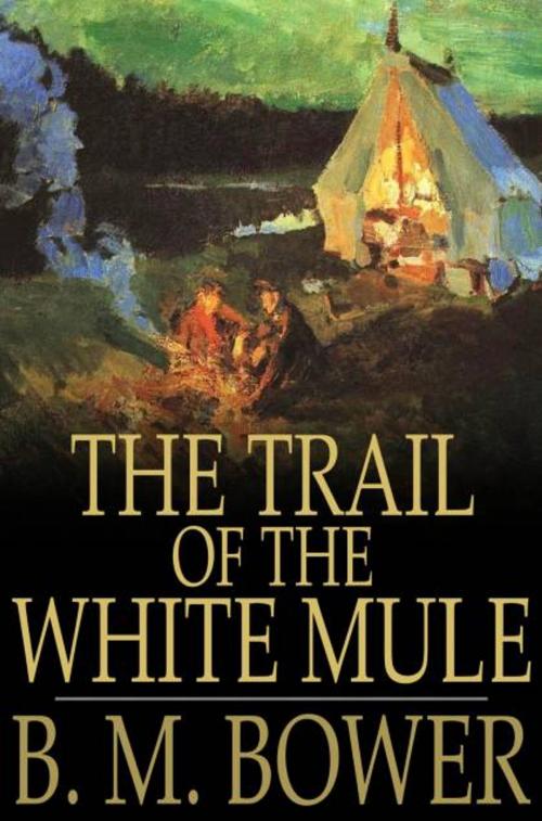 Cover of the book The Trail of the White Mule by B. M. Bower, The Floating Press