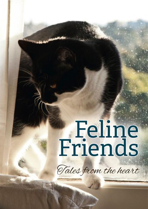 Cover of the book Feline Friends by Cat Protection Society of NSW, Exisle Publishing