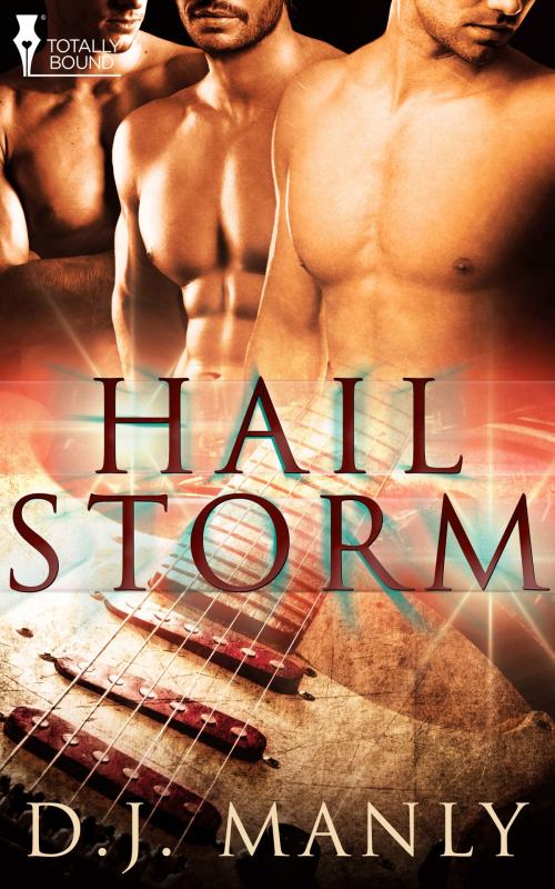 Cover of the book Hail Storm by D.J. Manly, Totally Entwined Group Ltd