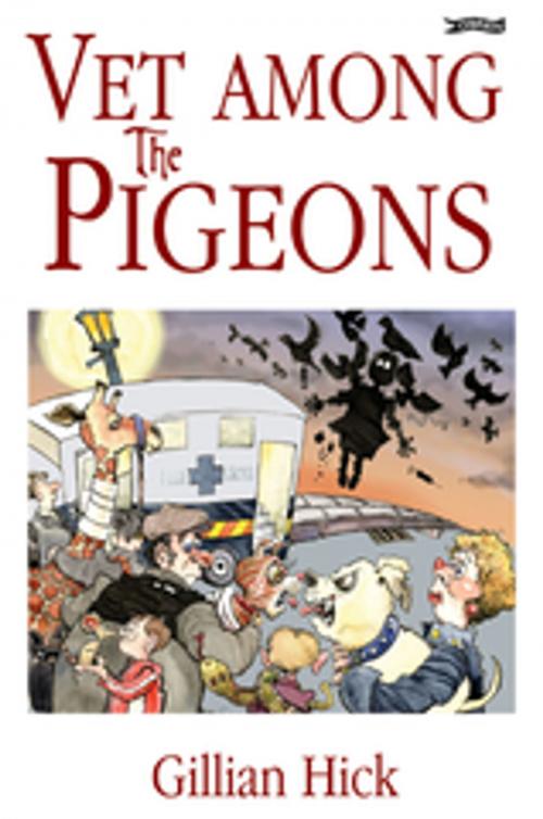 Cover of the book Vet Among the Pigeons by Gillian Hick, The O'Brien Press