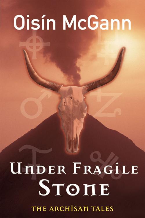 Cover of the book Under Fragile Stone by Oisín McGann, The O'Brien Press