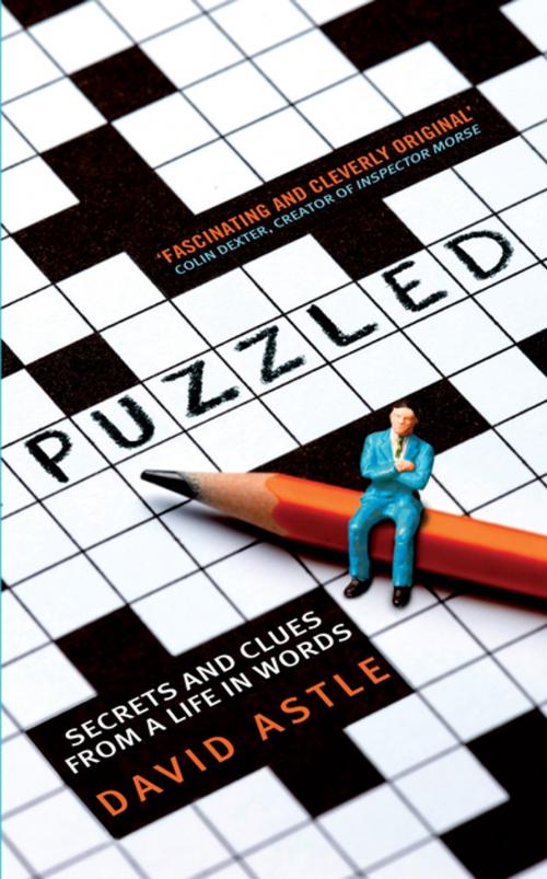Cover of the book Puzzled by David Astle, Profile
