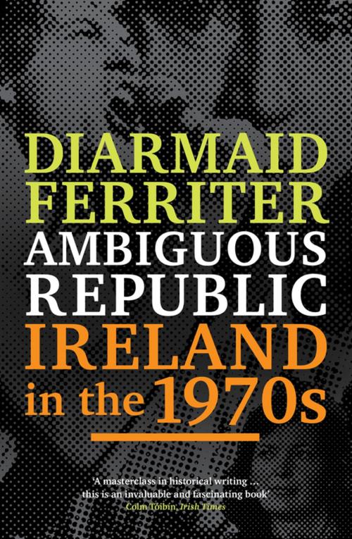 Cover of the book Ambiguous Republic by Diarmaid Ferriter, Profile