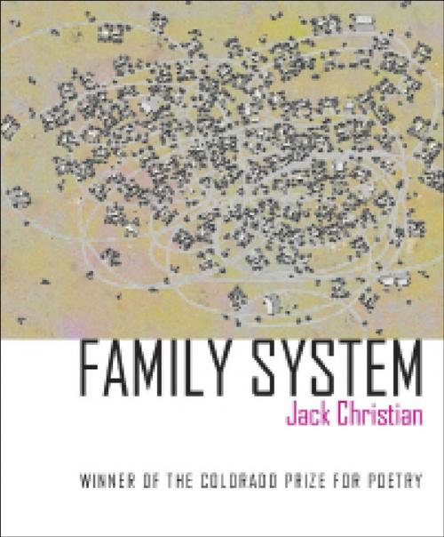 Cover of the book Family System by Jack Christian, University Press of Colorado