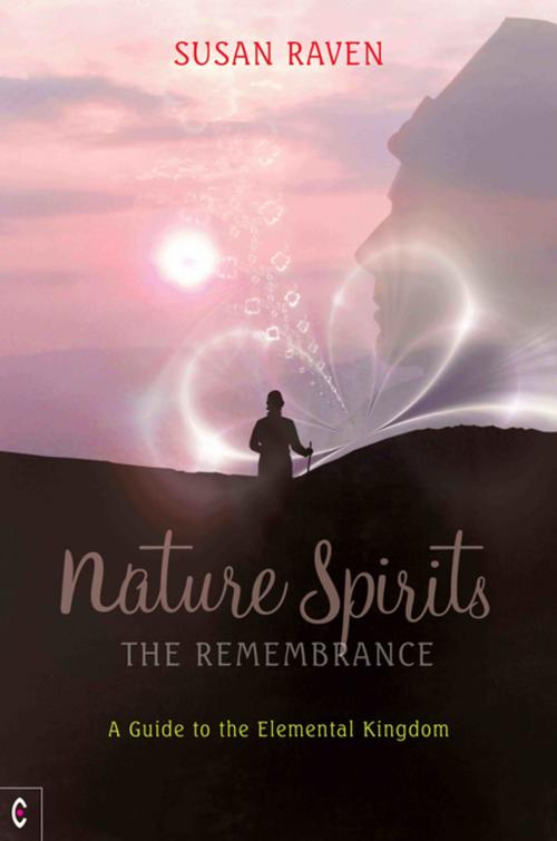 Cover of the book Nature Spirits: The Remembrance by Susan Raven, Rudolf Steiner Press