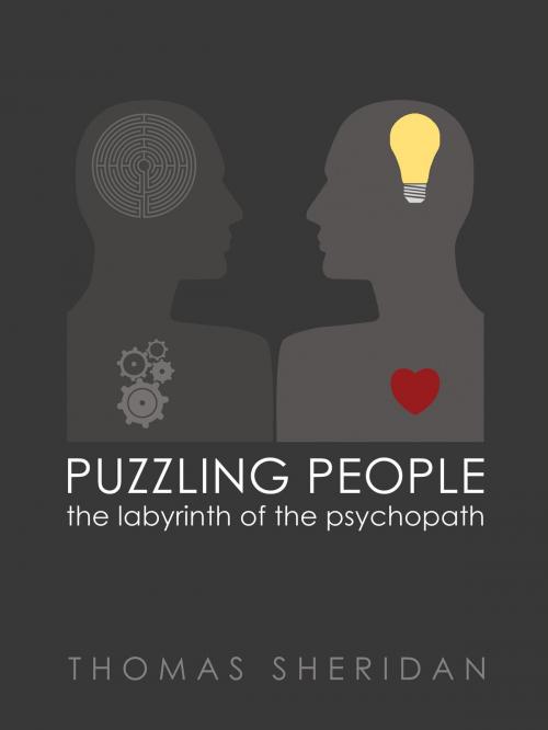 Cover of the book Puzzling People by Thomas Sheridan, Velluminous Press