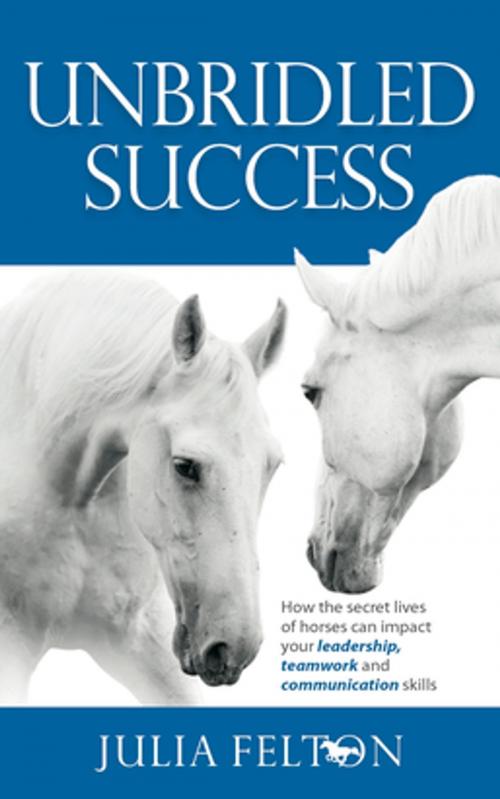 Cover of the book Unbridled Success by Julia Felton, Ecademy Press Ltd