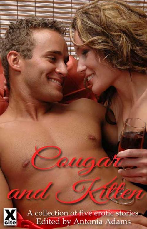Cover of the book Cougar and Kitten by Landon Dixon, Elizabeth Coldwell, Bel Anderson, Michael Bracken, Paul Moon, Xcite Books