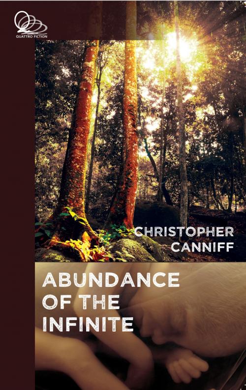 Cover of the book Abundance of the Infinite by Christopher Canniff, Quattro Books