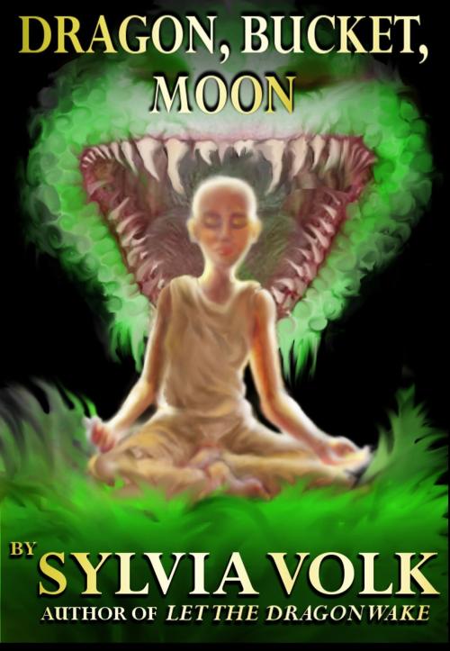 Cover of the book Dragon, Bucket, Moon by Sylvia Volk, Sylvia Volk
