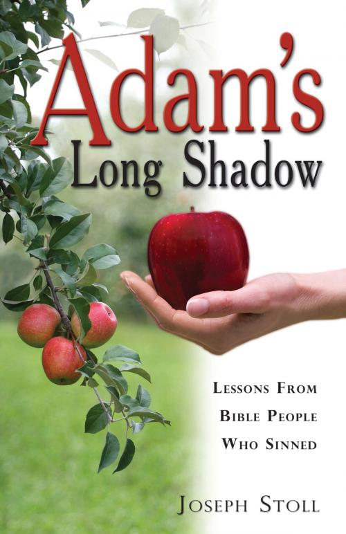 Cover of the book Adam’s Long Shadow by Joseph Stoll, Vision Publishers LLC