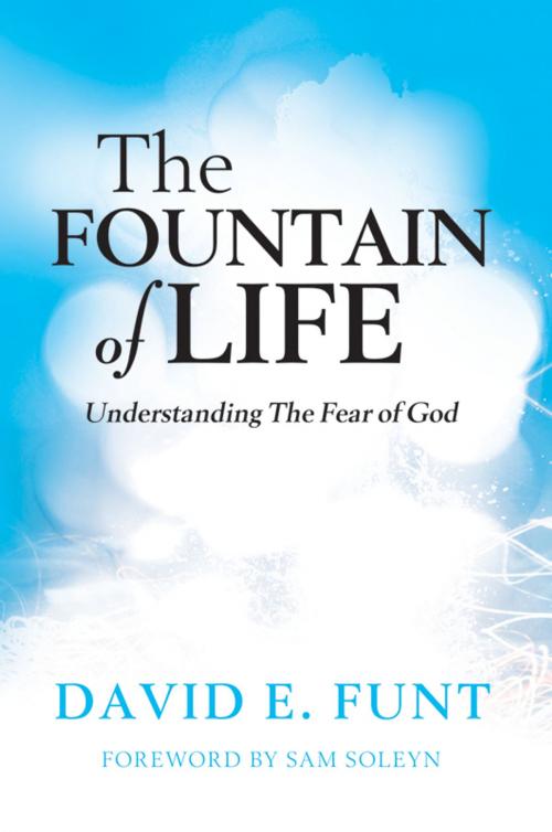 Cover of the book The Fountain of Life by David E. Funt, eGenCo. LLC