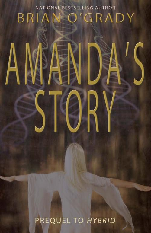 Cover of the book Amanda's Story by Brian O'Grady, Fiction Studio Books