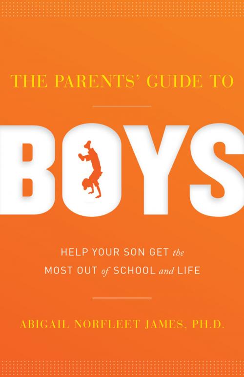 Cover of the book The Parents' Guide to Boys by Abigail James, Live Oak Book Company