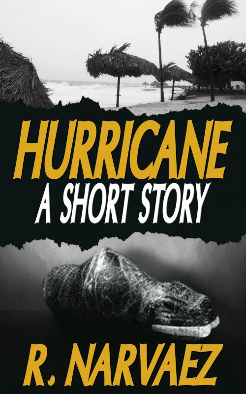 Cover of the book Hurricane by R. Narvaez, Beyond the Page