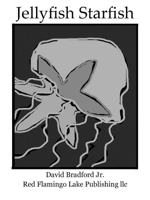 Cover of the book Jellyfish Starfish by David Bradford Jr., Red Flamingo Lake Publishing llc