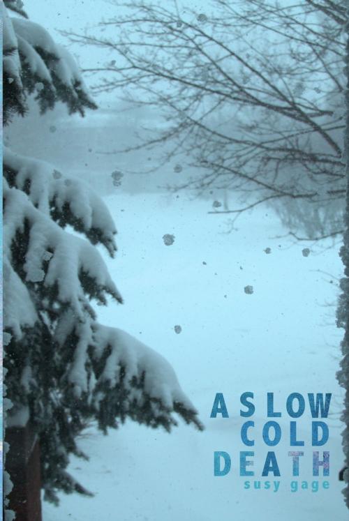 Cover of the book A Slow Cold Death by Susy Gage, Bitingduck Press