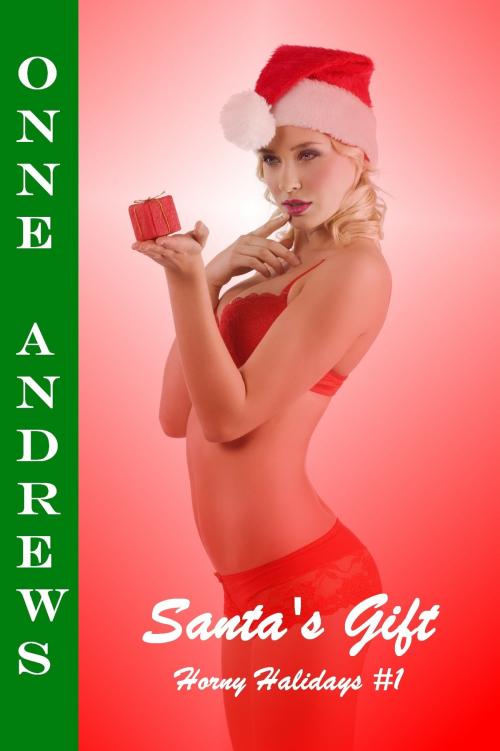 Cover of the book Santa's Gift (Horny Holidays #1 Erotic Fantasy Romance) by Onne Andrews, Onne Andrews