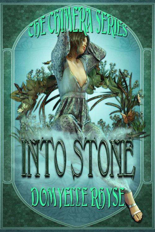 Cover of the book Into Stone by Domyelle Rhyse, Chamberton Publishing