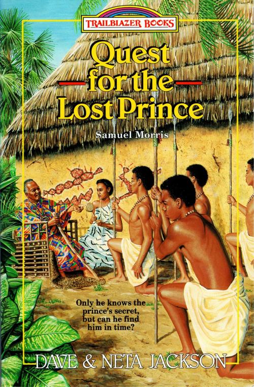 Cover of the book Quest for the Lost Prince by Dave Jackson, Neta Jackson, Castle Rock Creative, Inc.