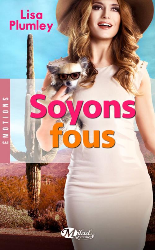 Cover of the book Soyons fous by Lisa Plumley, Milady