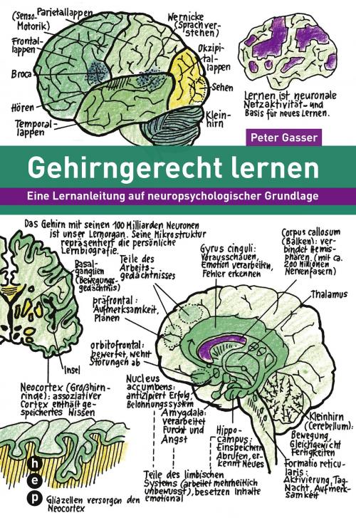 Cover of the book Gehirngerecht lernen (E-Book) by Peter Gasser, hep verlag
