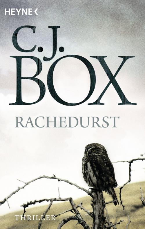 Cover of the book Rachedurst by C.J. Box, Heyne Verlag