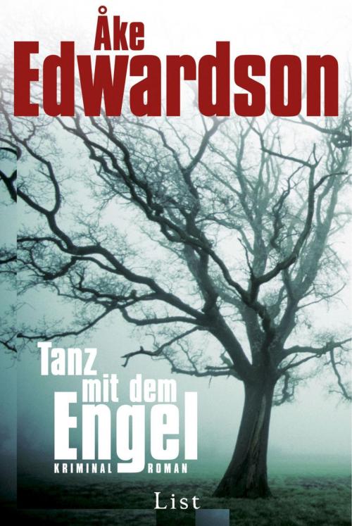 Cover of the book Tanz mit dem Engel by Åke Edwardson, Ullstein Ebooks