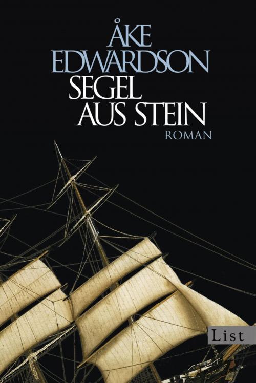 Cover of the book Segel aus Stein by Åke Edwardson, Ullstein Ebooks