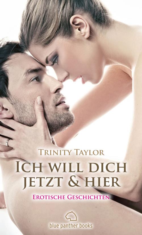 Cover of the book Ich will dich jetzt und hier | Erotische Geschichten by Trinity Taylor, blue panther books