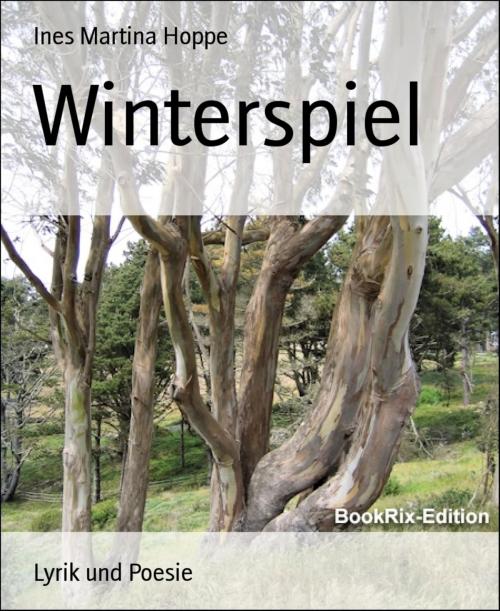 Cover of the book Winterspiel by Ines Martina Hoppe, BookRix