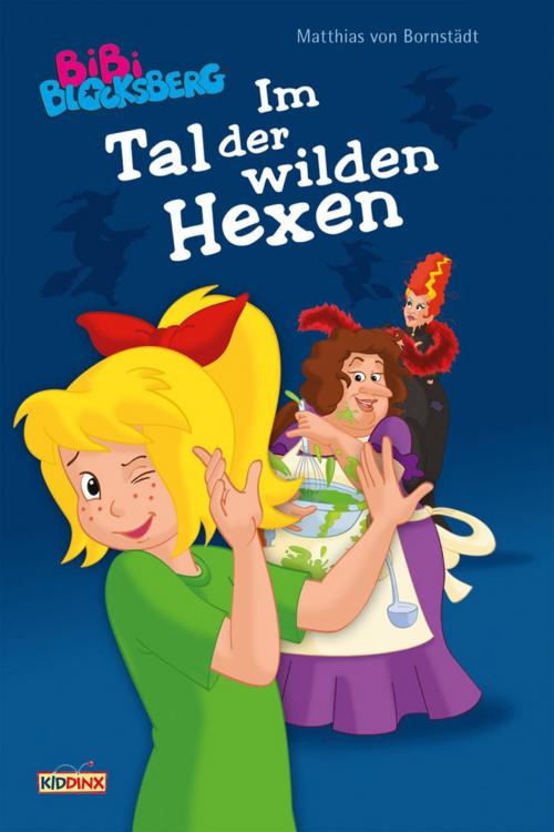 Cover of the book Bibi Blocksberg - Im Tal der wilden Hexen by Matthias von Bornstädt, Linda Kohlbaum, musterfrauen, Kiddinx Media GmbH