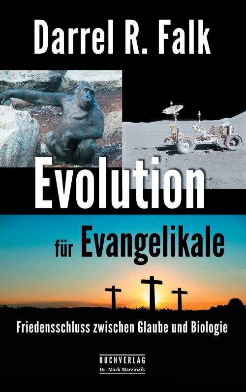 Cover of the book Evolution für Evangelikale by Darrel R. Falk, Buchverlag Dr. Mark Marzinzik