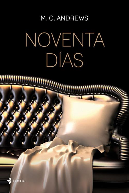 Cover of the book Noventa días by M. C. Andrews, Grupo Planeta