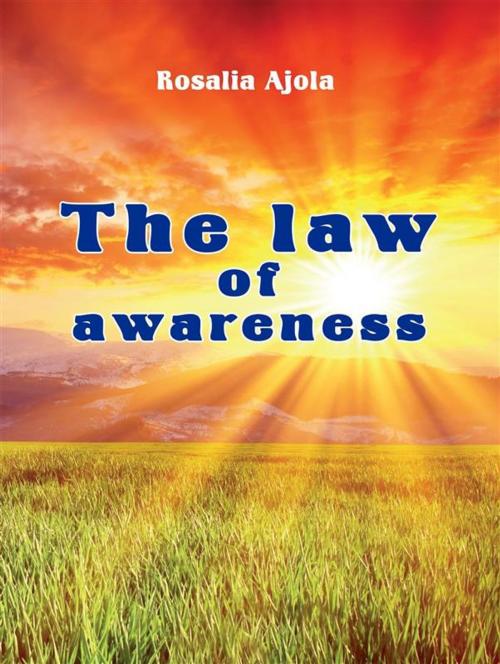 Cover of the book The Law of Awareness by Rosalia Ajola, Youcanprint