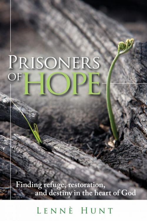 Cover of the book Prisoners of Hope by Lennè Hunt, Evangelista Media srl