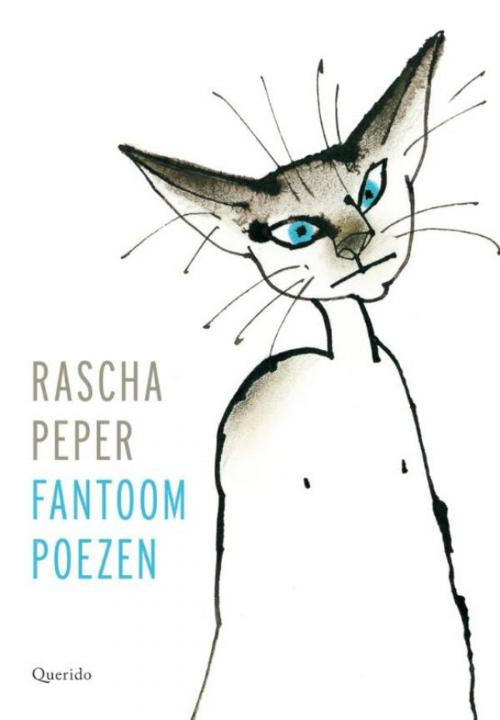 Cover of the book Fantoompoezen by Rascha Peper, Singel Uitgeverijen