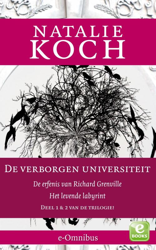 Cover of the book De erfenis van Richard Grenville; Het levende labyrint by Natalie Koch, Singel Uitgeverijen